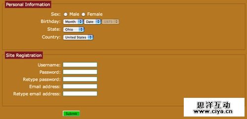 CSS3 form
