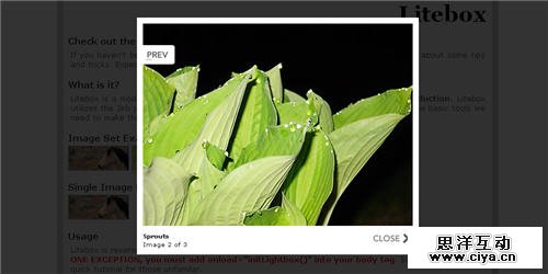 jQuery 灯箱插件