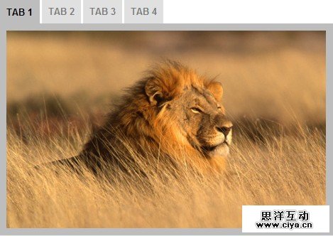 TN34 Timetabs – jQuery Plugin