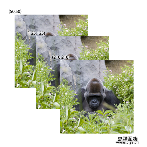 基本画布绘图输出