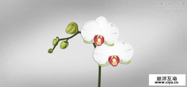 Orchid Vector Art Vector Packs 30套非常漂亮的免费矢量图片素材,互联网的一些事