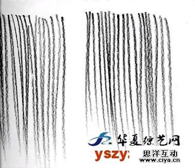 非科班同学有福啦!手把手教你从零基础开始学素描!