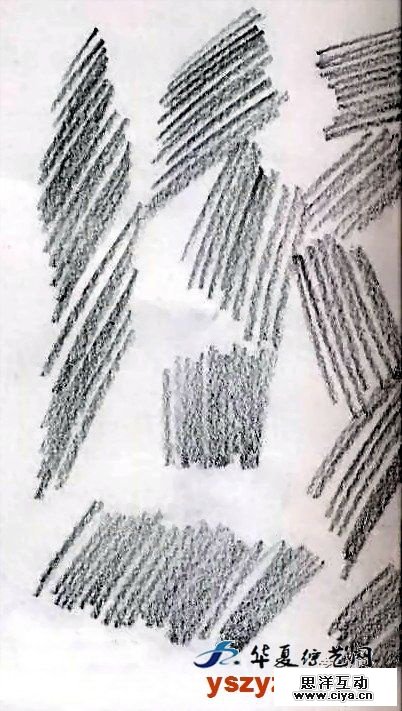非科班同学有福啦!手把手教你从零基础开始学素描!