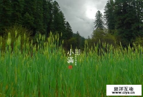 clip_image021