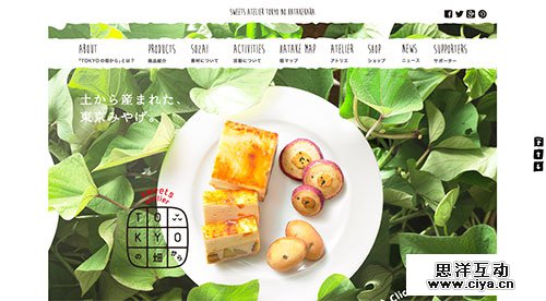 来一场华丽的冒险！创意与技术齐飞的日本网页设计欣赏,互联网的一些事