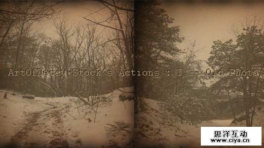 action011