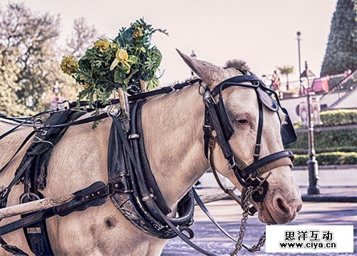 免费高清！10个无版权限制的大图特供网站