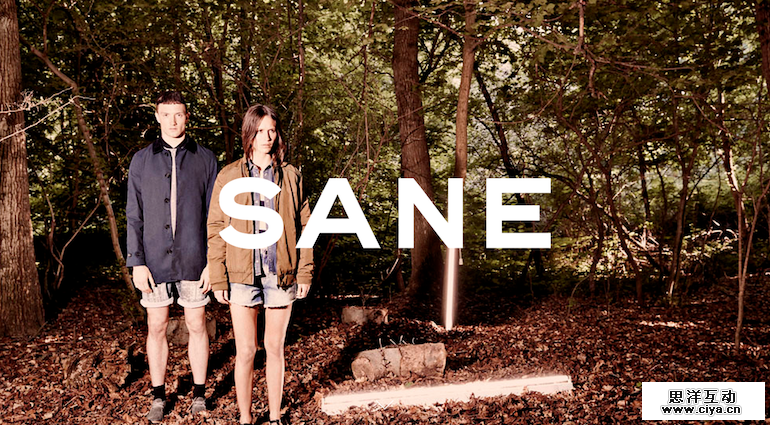 sane communications