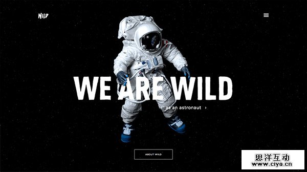WILD