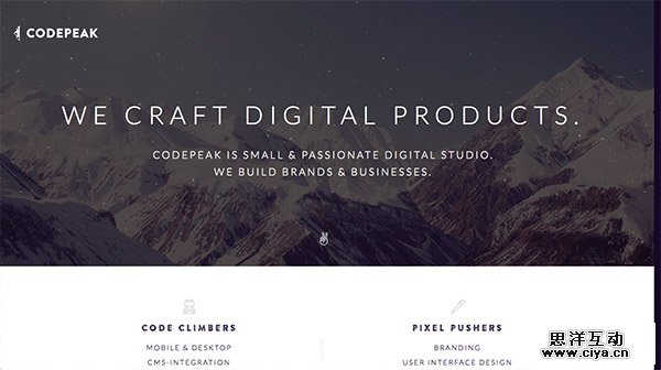 Codepeak Studio