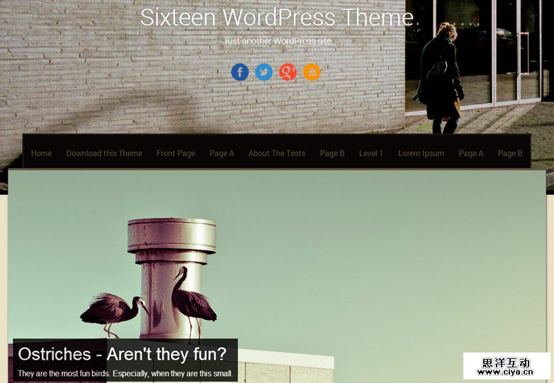 45+ freebies you have to try this month photo Sixteen WP theme