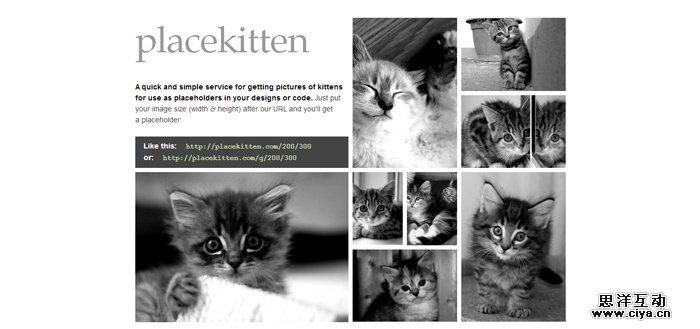 Placekitten