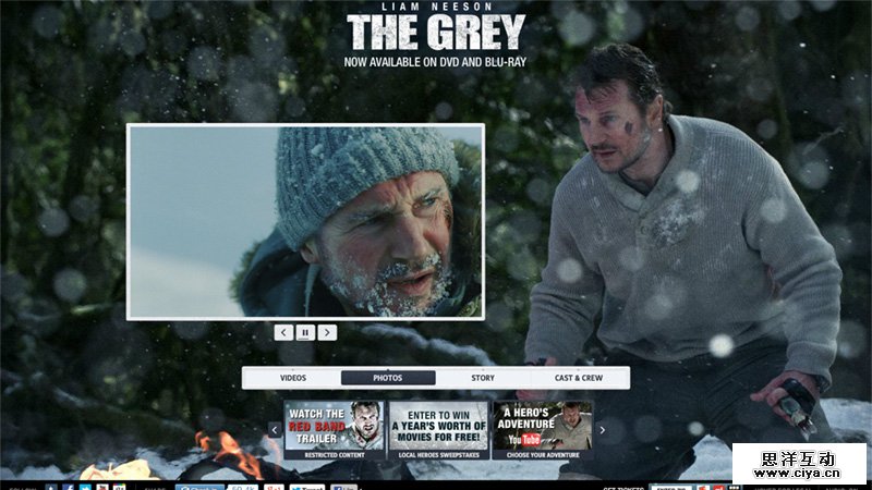The Grey