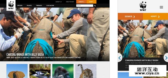 Responsive Websites
