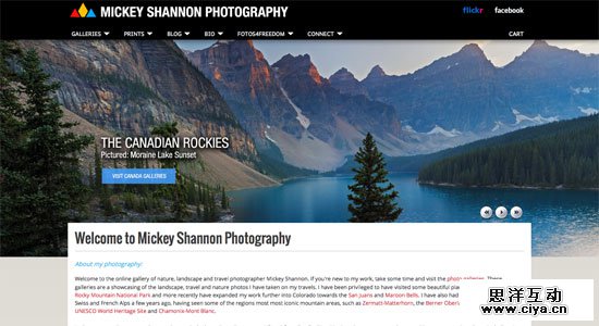 Mickey Shannon Photography Websites