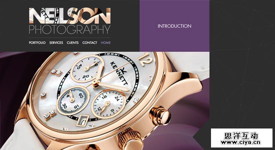 Neilson Photography Websites