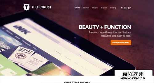 View the website