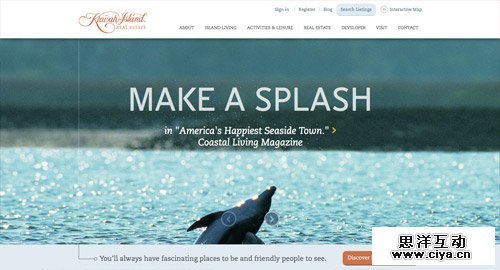 View the website