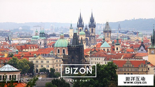 1440758304880260.jpg Bizon.jpg