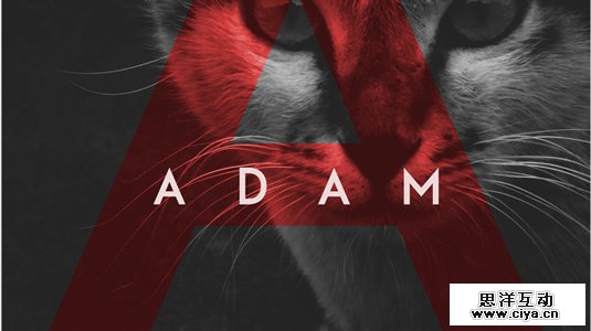 Adam