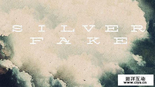 SilverFake