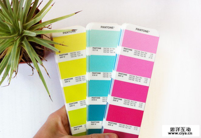 26-pantone-662x456
