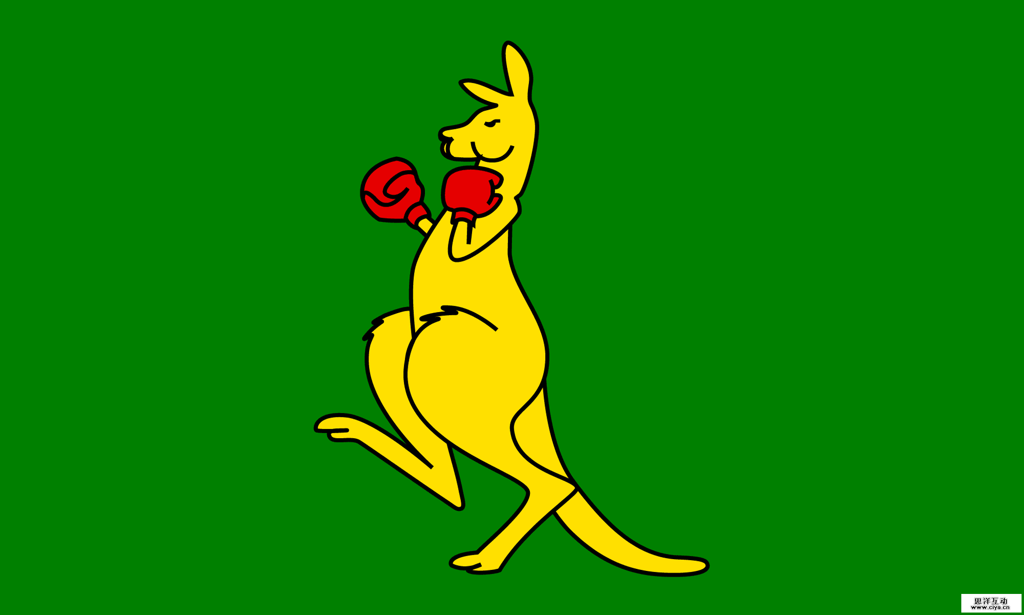 boxingkangaroo