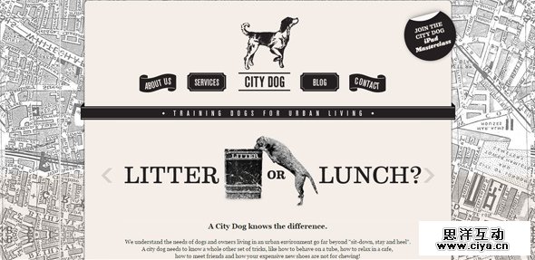 City-dog