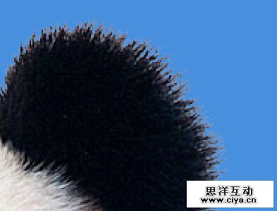 5hz20151231