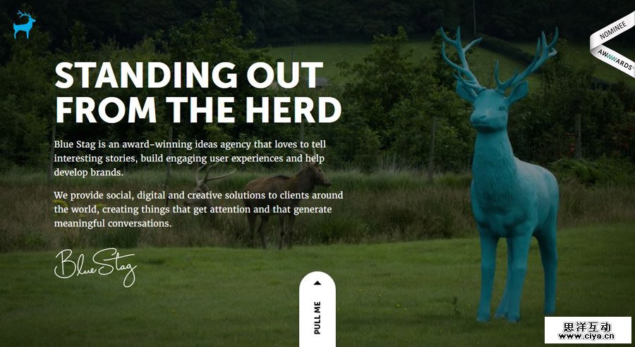 bluestag