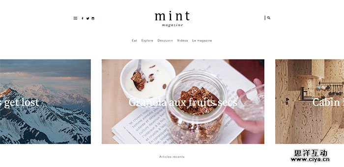 magazine-mint.fr_