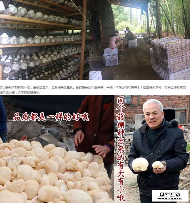如何打造优秀详情页