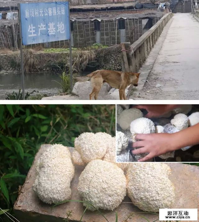 如何打造优秀详情页