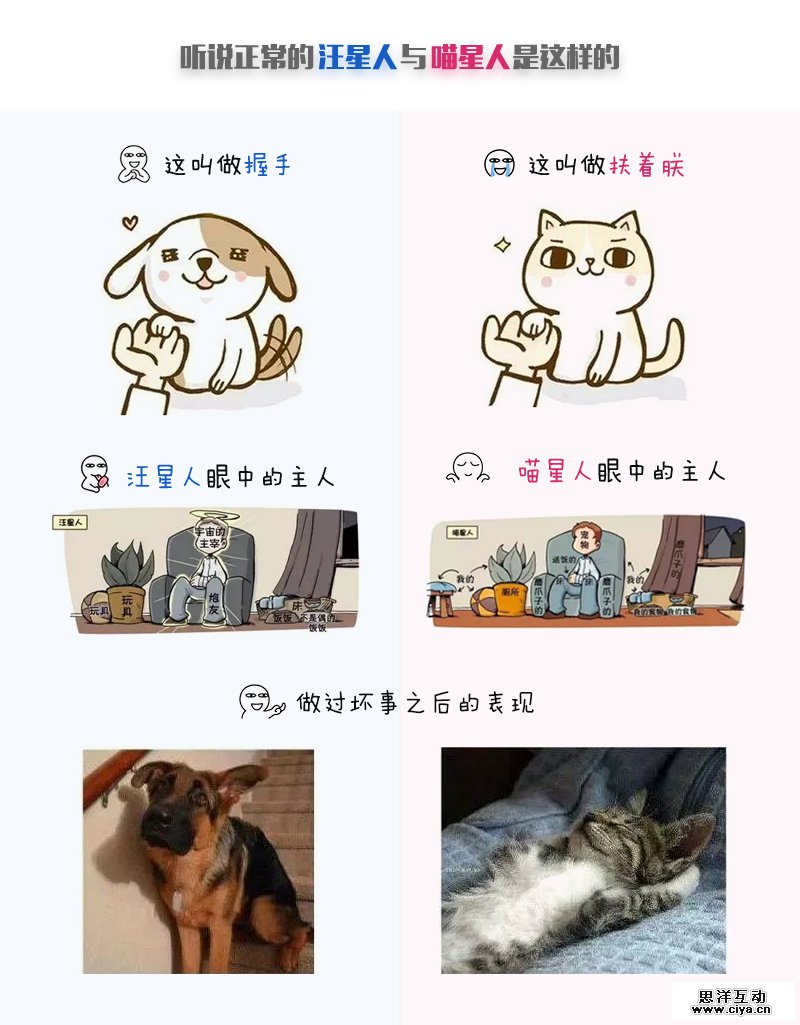 d9c2587ecc98a8012060c8691800.jpg