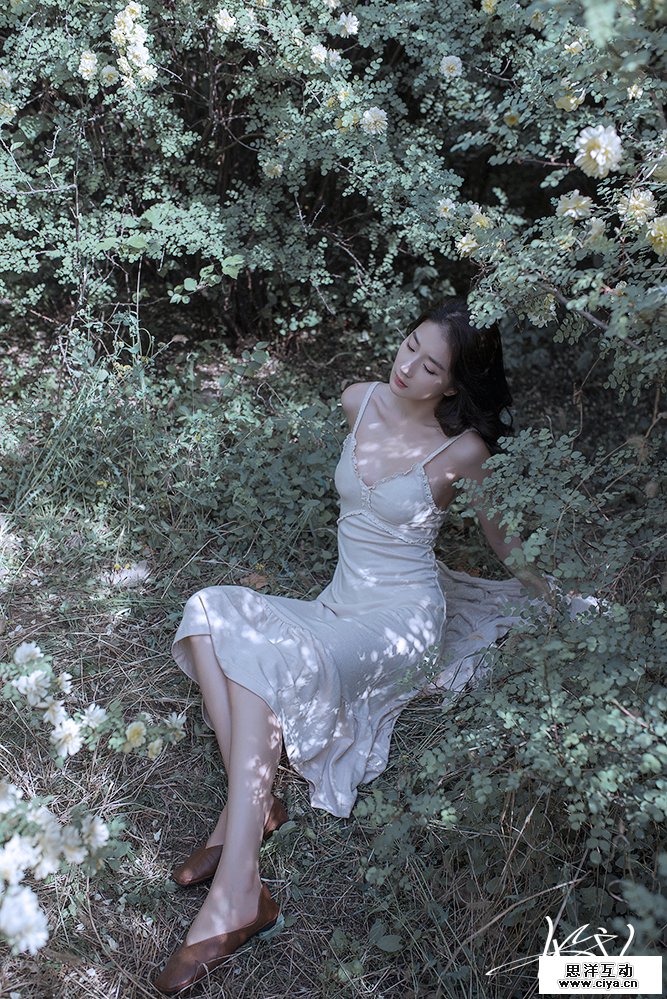 查看《【有映画】花匿 》原图，原图尺寸：667x999