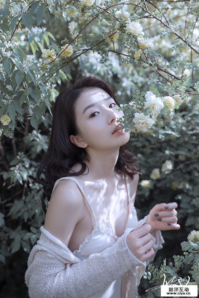 查看《【有映画】花匿 》原图，原图尺寸：667x999