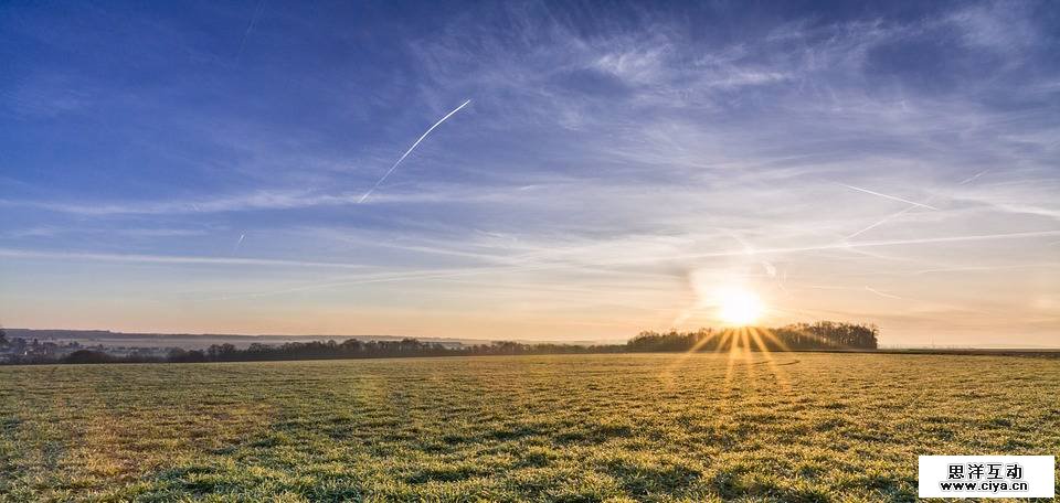 1495373925-8743-0521