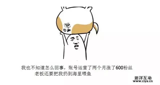 给你说个神话：我是做新媒体的