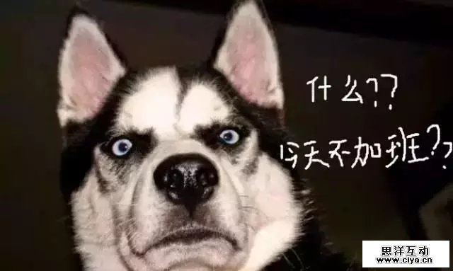 给你说个神话：我是做新媒体的