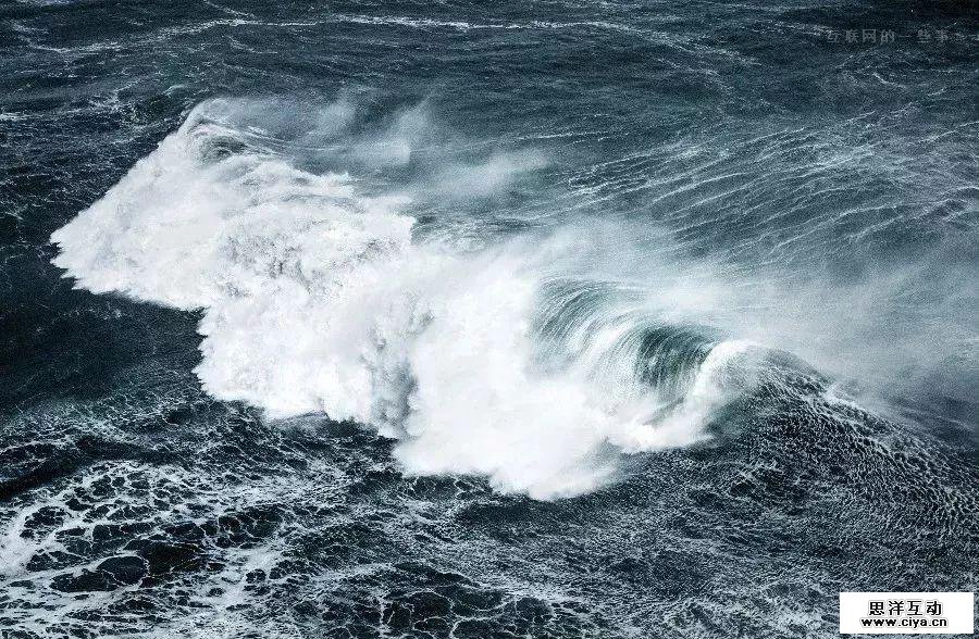 在快手，共度孤独人生