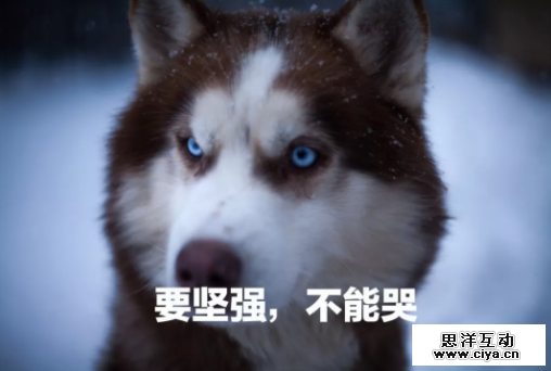 你们大众到底对新媒体人有什么误解？